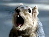 Bridgestone: Řevem k záchraně veverky / Screaming Squirrel (Super Bowl 2008)