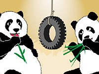 Hodina Země: Chlípné pandy souloží (Earth Hour 2011)