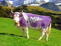 Milka: Nejjemnější pokušení od fialové krávy