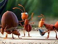 De Lijn: Mravenci porazí mravenečníka