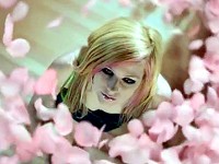 Avril Lavigne Wild Rose: Vůně divokých růží