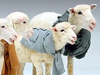 Brooks Brothers: Zpívající ovce přejí štěstí a zdraví (Jingle Bells)