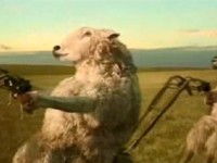 Mentos: Závod ovcí na sekačkách