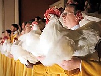 Foster Farms: Užasná kuřata mají koncert