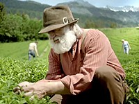 Ricola: Švýcarské bylinné bonbóny s Chrüterchraft