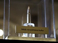 Český helsinský výbor: Nikdy nevystřelená kulka