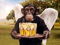 Kingswood: Dokonale vyvážený cider od šimpanze