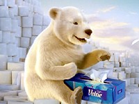 Veltie: Lední medvědi testují odolnost a jemnost