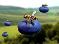 Bohemia Honey: S chutí do medu! (2014)