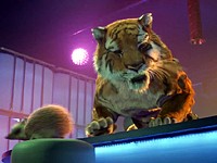 Tiger NEPE: Tygr s ježkem na baru (2015)