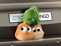 Citroën Berlingo: Angry Birds doporučují (2016)