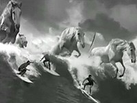 Guinness: Surfaři a surfující koně