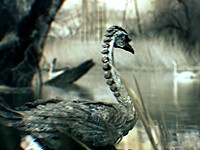Ekotopfilm: Filtrovec polní a Olejnatka labutí (2017)