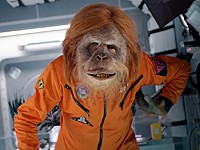 T-Mobile: Trojan a orangutan Láďa mají vánoční hody (2017)