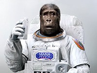 MANA: Evoluce jídla s gorilou astronautem (2018)
