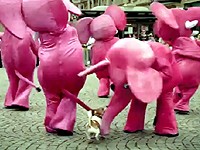 T-Mobile: Vytrubte to se slony ve velkém