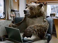 Canal+: Nejlepší filmař je medvědí kůže (The Bear)