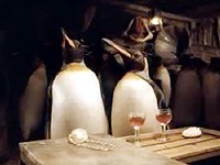 Guinness: Dlouhá cesta tučňáků za pivem