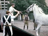 Pilsner Urquell: Záchrana kladrubských koní